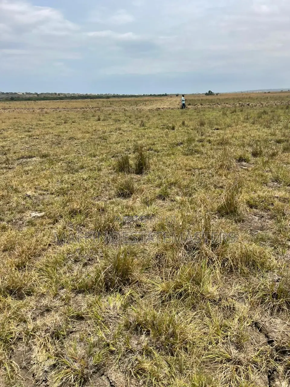 Waterlogged-Free Land for Sale (100x100)
