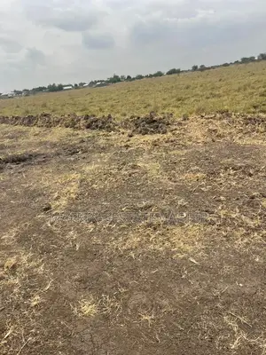 Land Opposite Affordable Housing for Sale