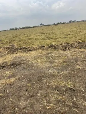 Deluxe but Pleasing Land for Sale