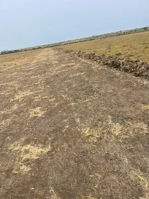 Luxurious Plot of Land for Sale
