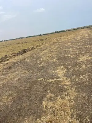 Luxurious Plot of Land for Sale