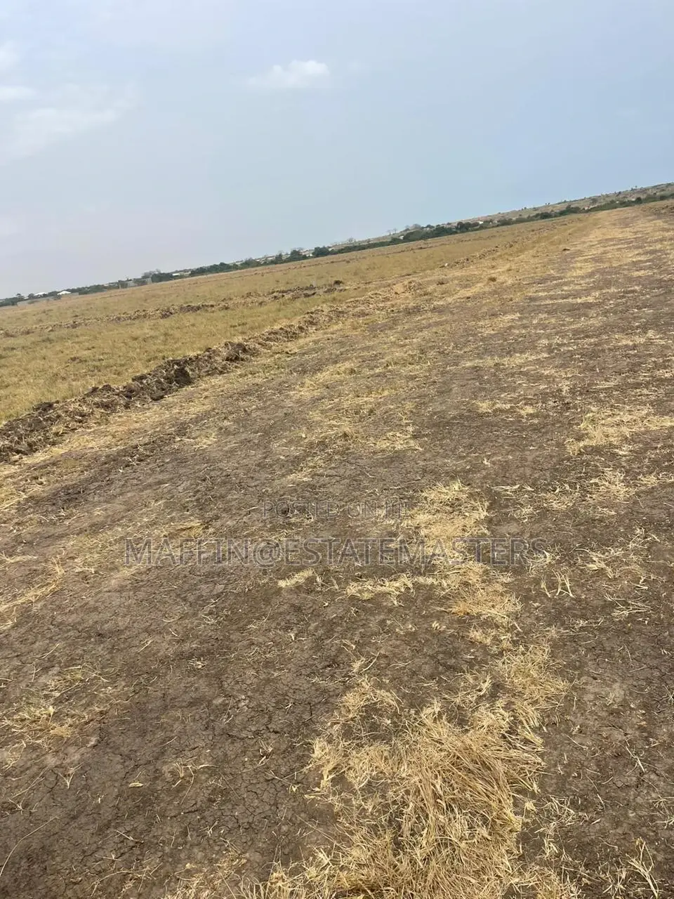 Luxurious Plot of Land for Sale