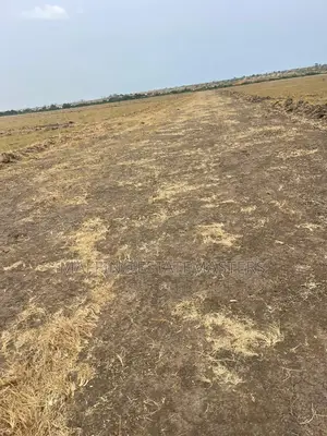 Luxurious Plot of Land for Sale