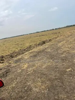 Commercial and Residential Land for Sale at Tsopoli