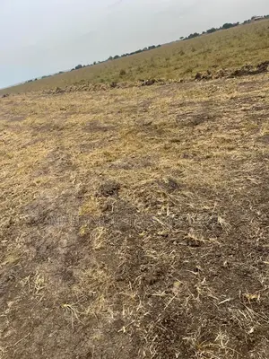 Graded Estate Plot of Land for Sale