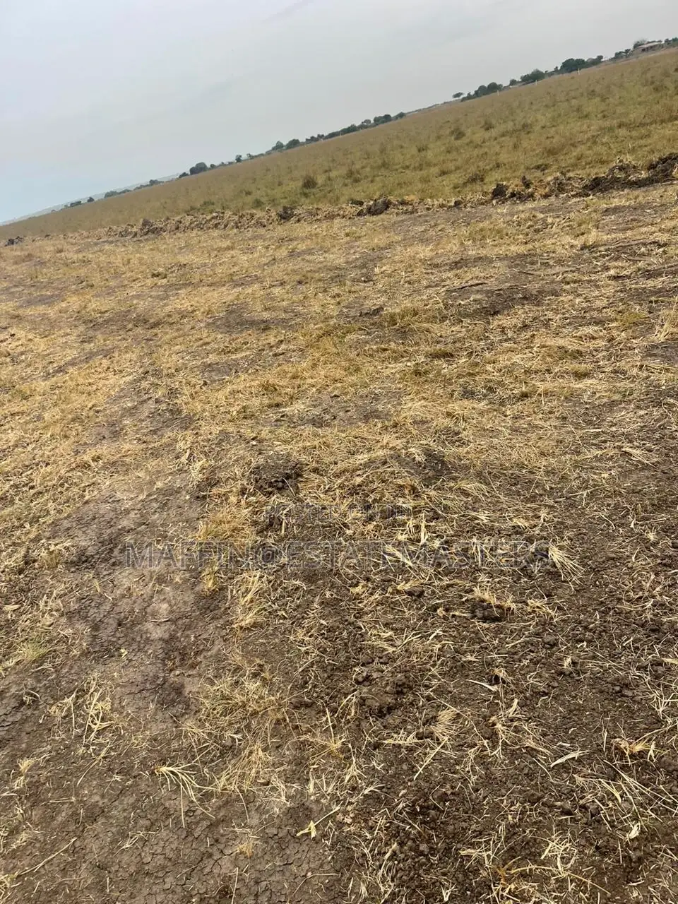 Graded Estate Plot of Land for Sale