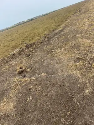 Graded Estate Plot of Land for Sale