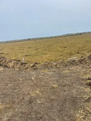 Graded Estate Plot of Land for Sale