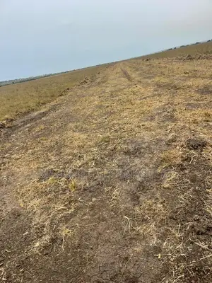 Land for Sale at a Serene Environment