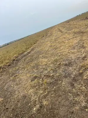Land for Sale at a Serene Environment