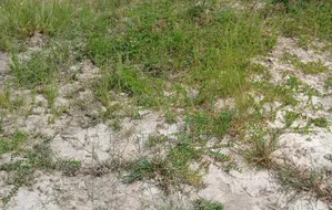 Don't Wait to Buy Plot of Land