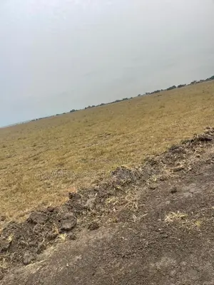 Dream Land for Sale at Affordable Price at Tsopoli