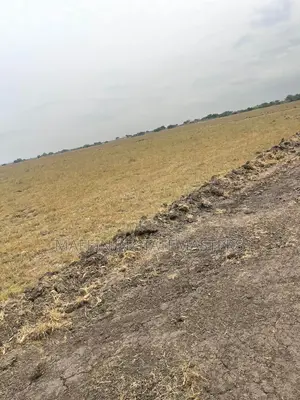 Dream Land for Sale at Affordable Price at Tsopoli