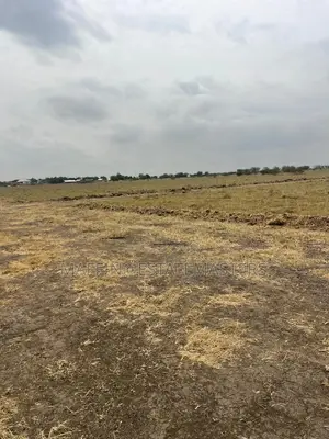 Dream Land for Sale at Affordable Price at Tsopoli