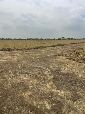 Exceptional Properties. Exceptional Clients. Land Sales