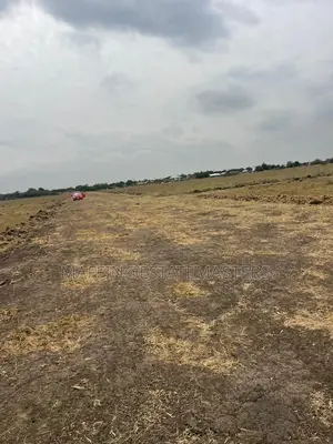 Creating Real Value in Property and Places"Land Sale Tsopol"