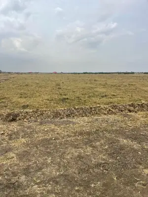 Creating Real Value in Property and Places"Land Sale Tsopol"