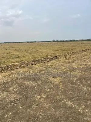Numered Plot of Land for Sale at Prampram