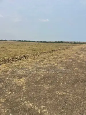 Vast Land for Sale Near the Affordable Housing Tsopoli