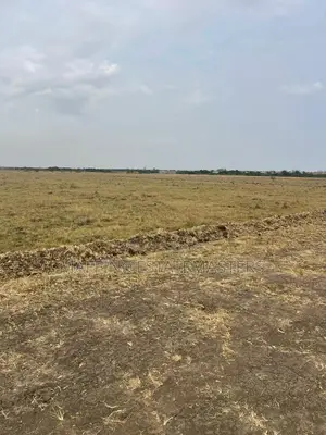 Vast Land for Sale Near the Affordable Housing Tsopoli