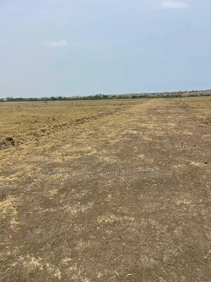Land for Sale Near the New Airport City at Tsopoli