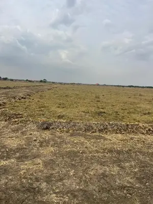 Land for Sale Near the New Airport City at Tsopoli