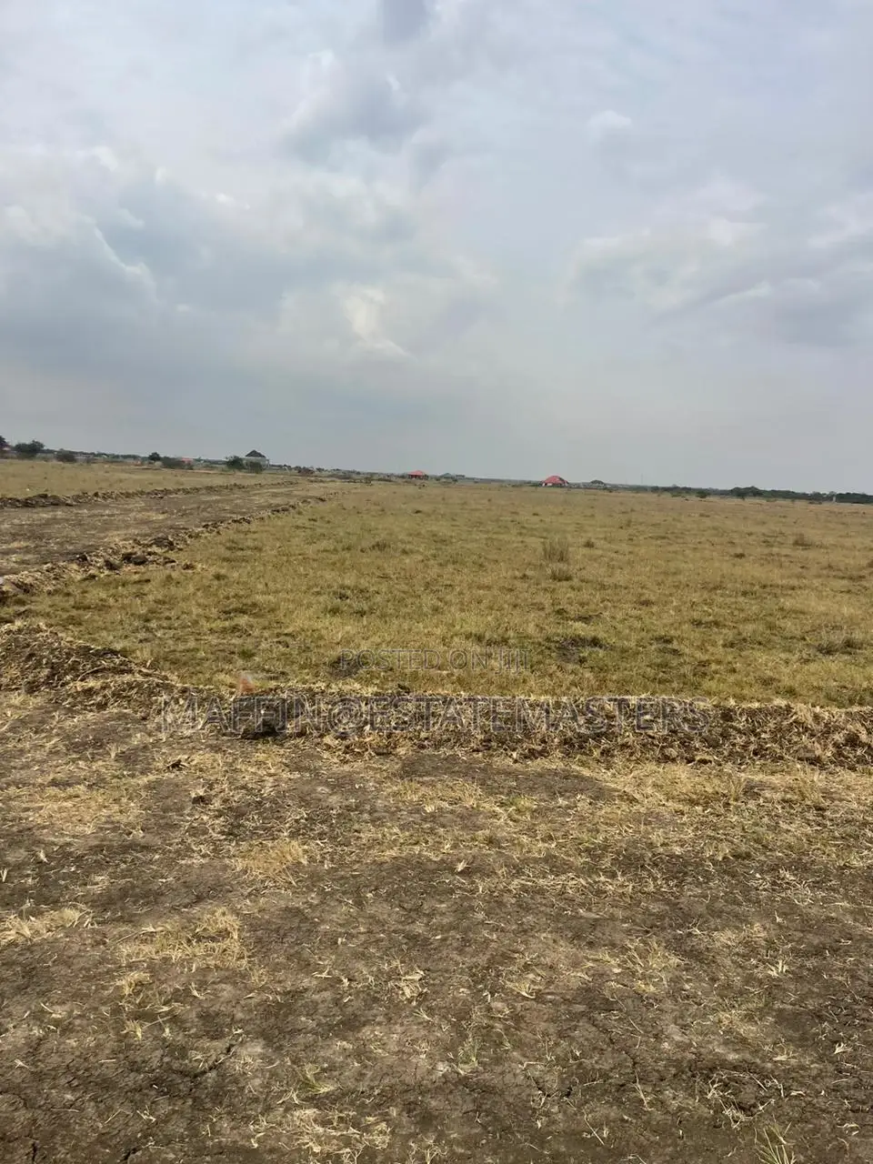 Land for Sale Near the New Airport City at Tsopoli