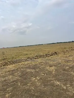 Reduction on Tsopoli Land for Sale