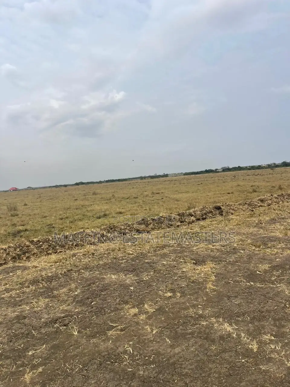 Reduction on Tsopoli Land for Sale