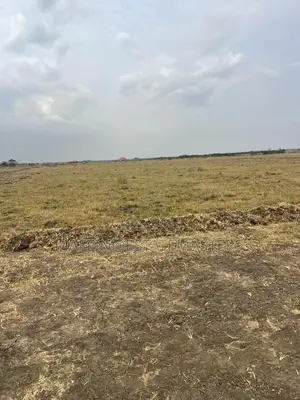 Reduction on Tsopoli Land for Sale