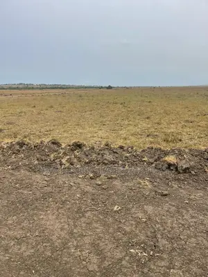 Mind Blowing Land for Sale at Tsopoli on Promo