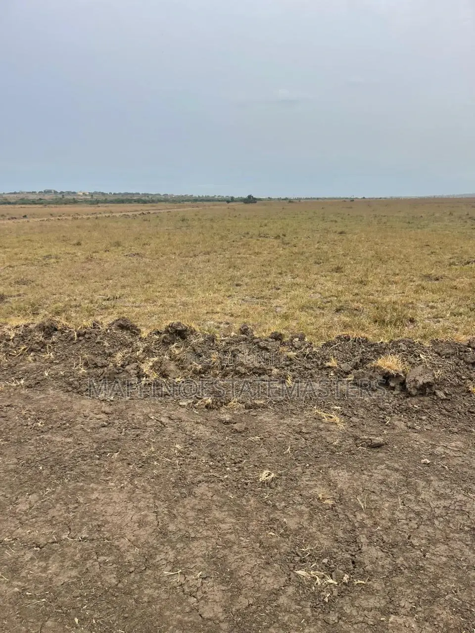 Mind Blowing Land for Sale at Tsopoli on Promo