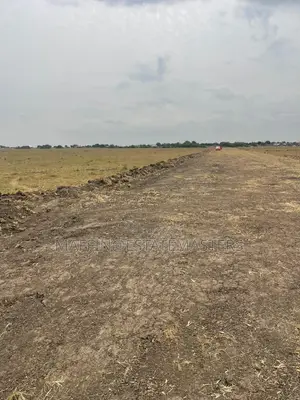 Mind Blowing Land for Sale at Tsopoli on Promo
