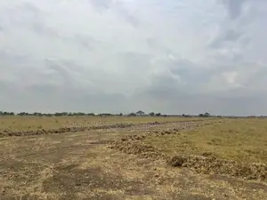 Legitimate and Genuine Plot of Land for Sale at Bawdjuase