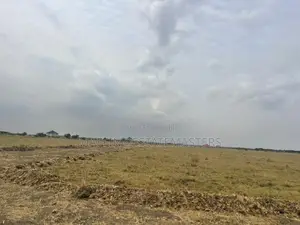 Well Plotted Plot of Land for Sale