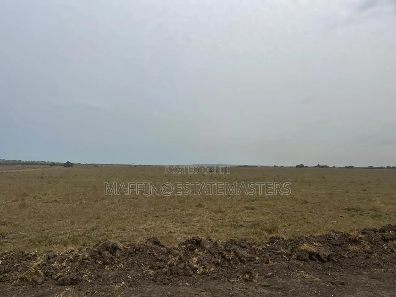 Own No Risk Land at Tsopoli From Estate Masters Company LTD