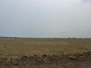 Own No Risk Land at Tsopoli From Estate Masters Company LTD