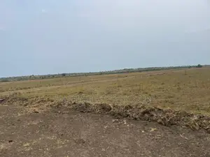 Own No Risk Land at Tsopoli From Estate Masters Company LTD