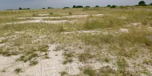 Invest in Genuine Plots of Lands