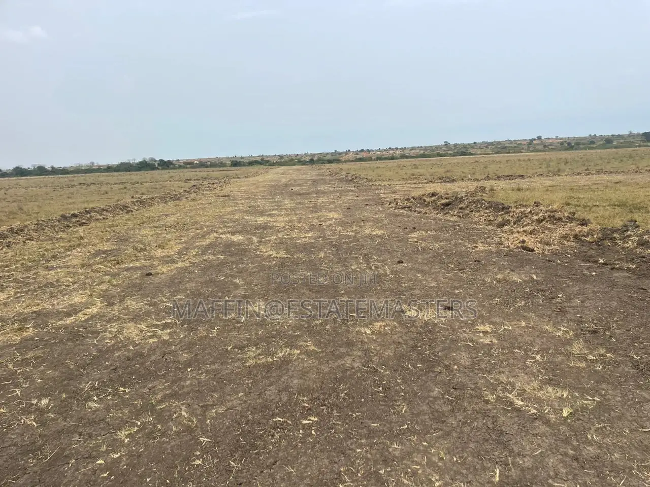 Own No Risk Land at Tsopoli From Estate Masters Company LTD