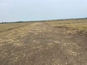Own No Risk Land at Tsopoli From Estate Masters Company LTD