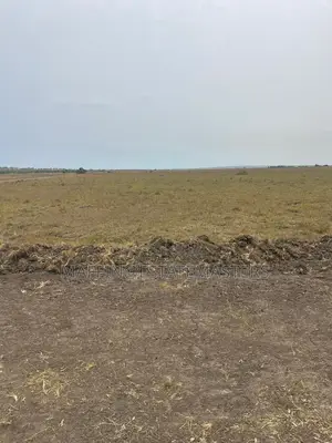 Own No Risk Land at Tsopoli From Estate Masters Company LTD