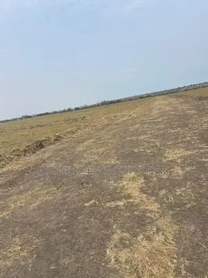 Peaceful and Plotted Land for Sale