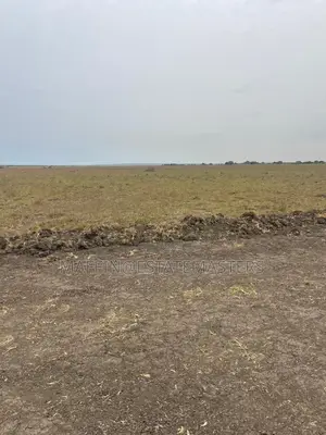 Land for Sale in a Developed Area at Tsopoli