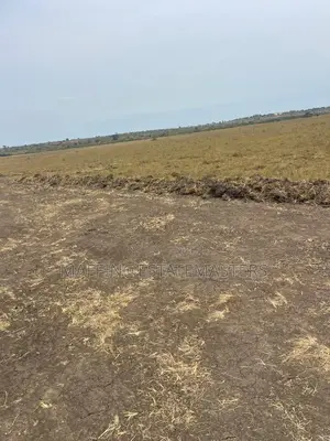 Peaceful Environment Land for Sale at Tsopoli