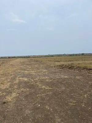 Timely Family Acreage Estate Plot of Land for Sale