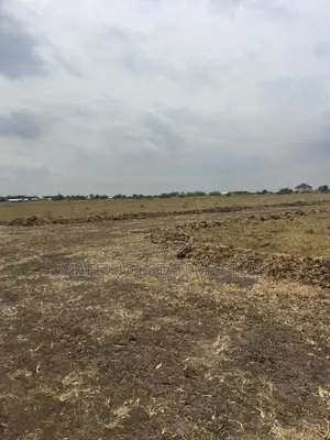Wonderful Installment Plan Land for Sale at Tsopoli