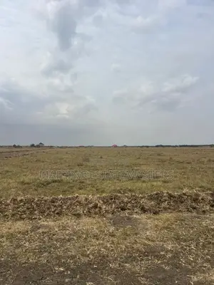 Land at Shiloh City for Sale