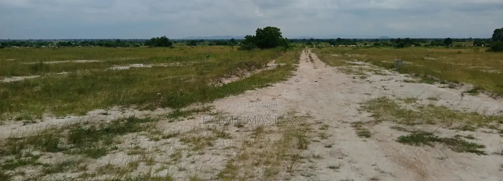 Genuine and Neat Beach View Lands