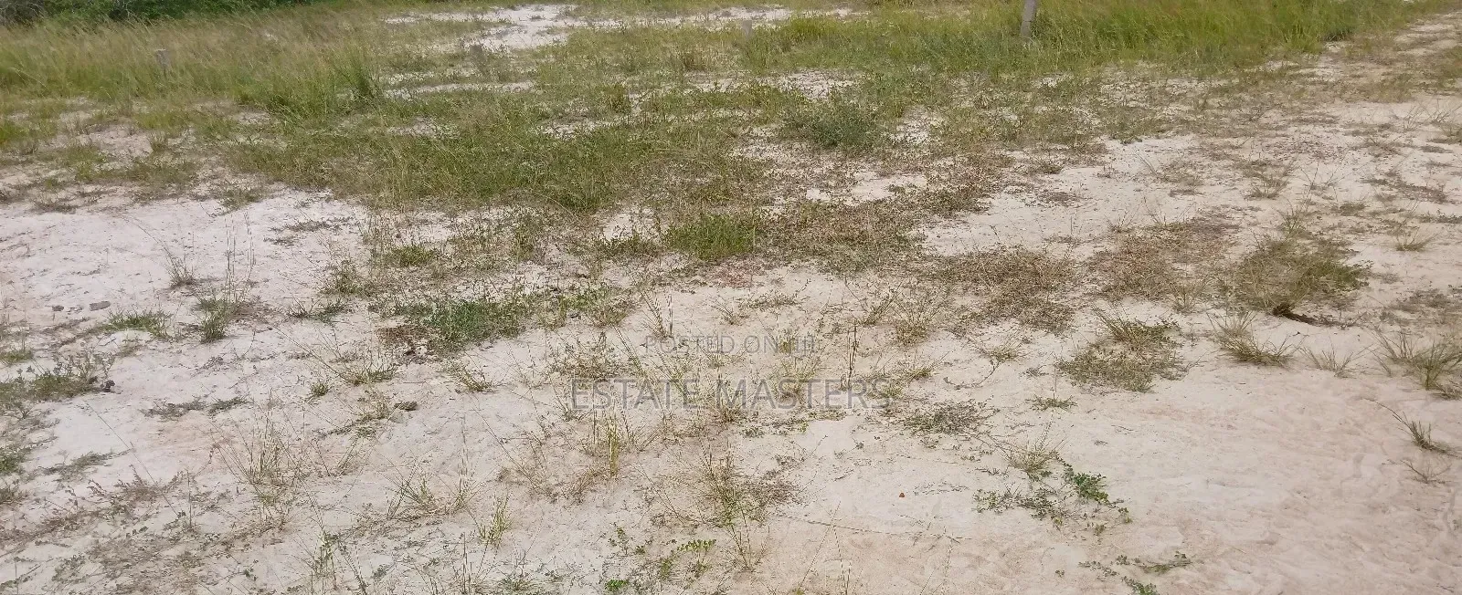 Genuine and Neat Beach View Lands